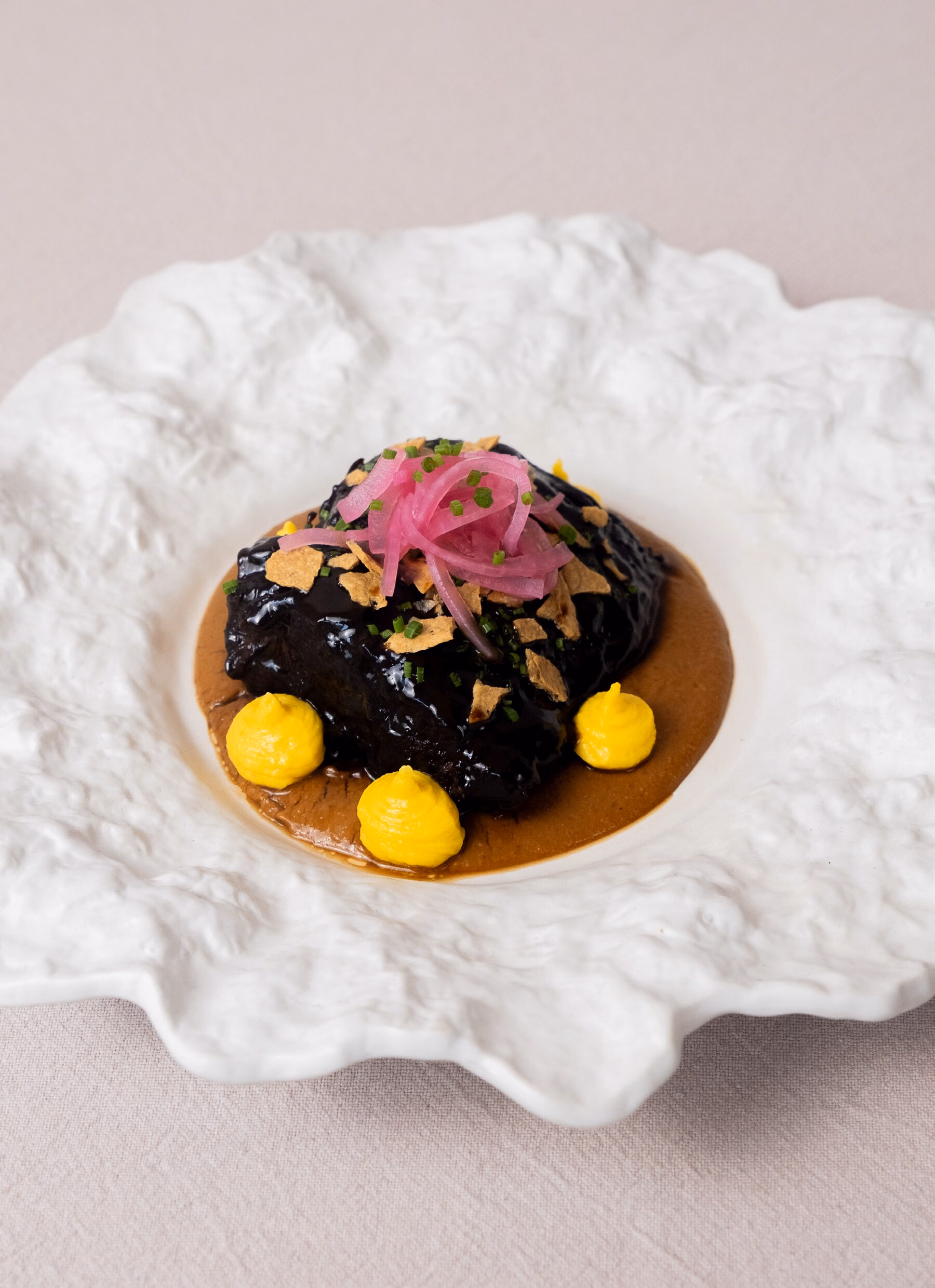 Shortrib met Mexicaanse mole, gefotografeerd voor het boek.